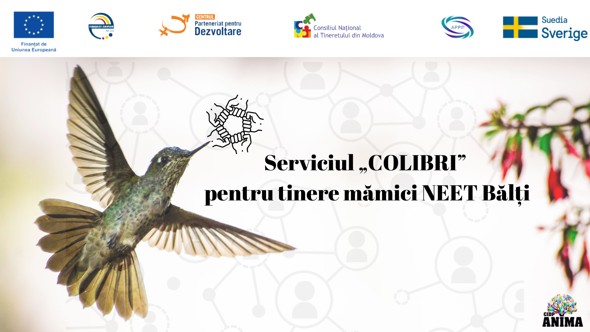 Serviciul „COLIBRI” pentru tinere mămici NEET Bălți