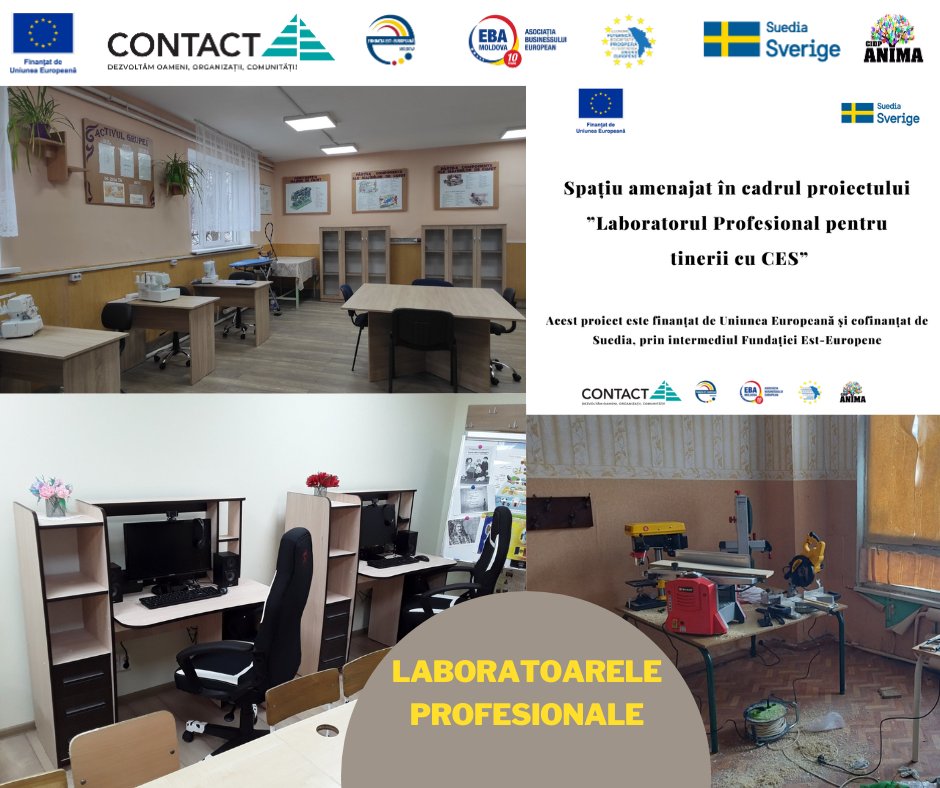 Laborator profesional pentru tinerii cu CES