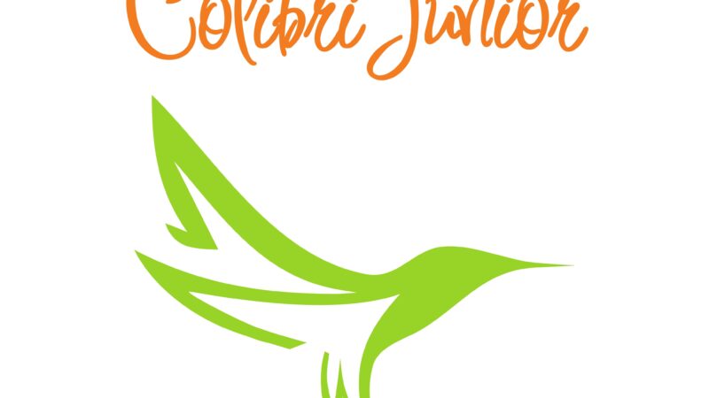 Serviciul Pilot „Colibri Junior” în Dondușeni, Soroca și Bălți