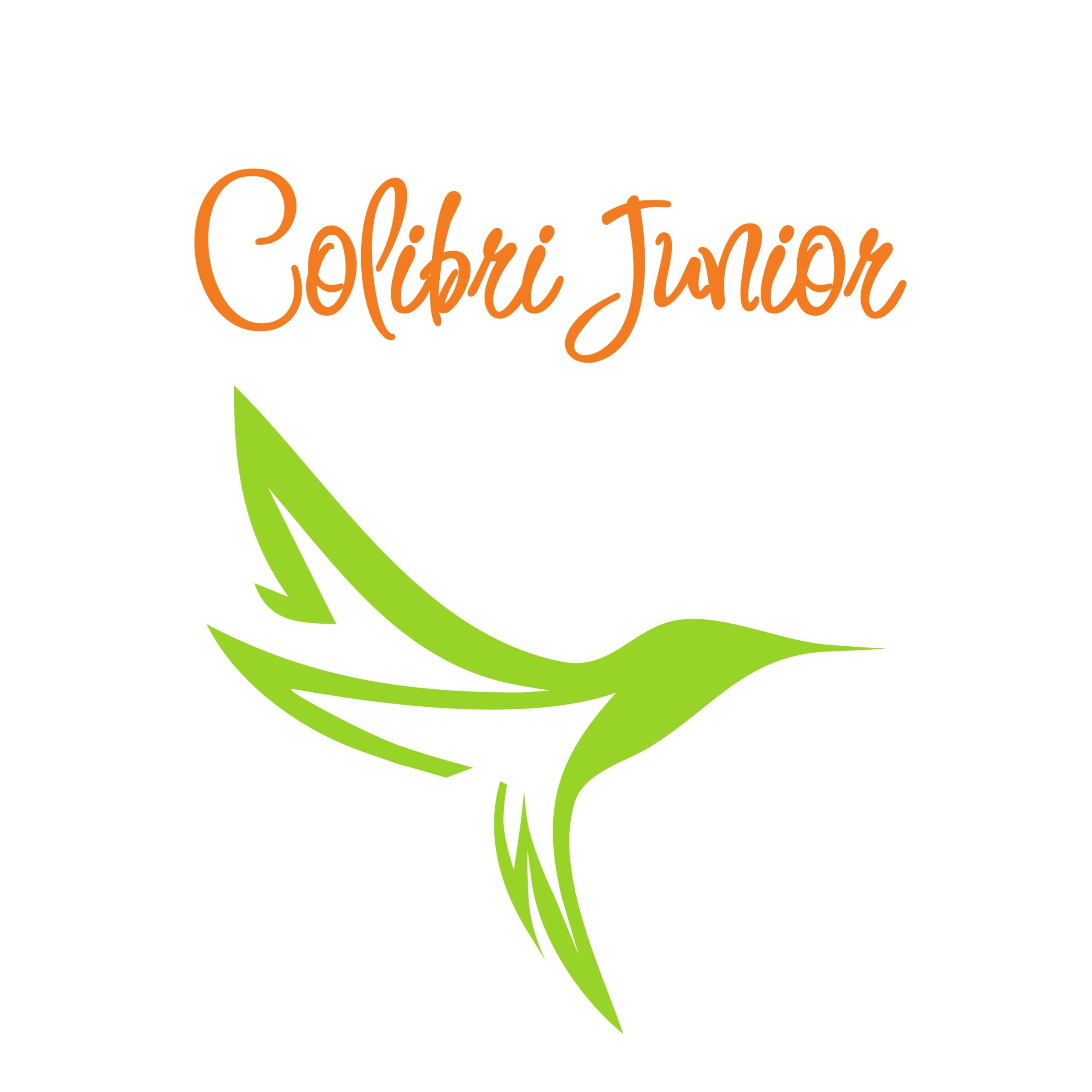 (Română) Serviciul Pilot „Colibri Junior” în Dondușeni, Soroca și Bălți