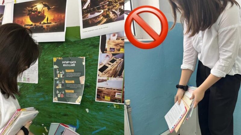 Ce pot face TINE-rii?